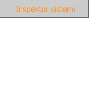 Inspektor sistemi